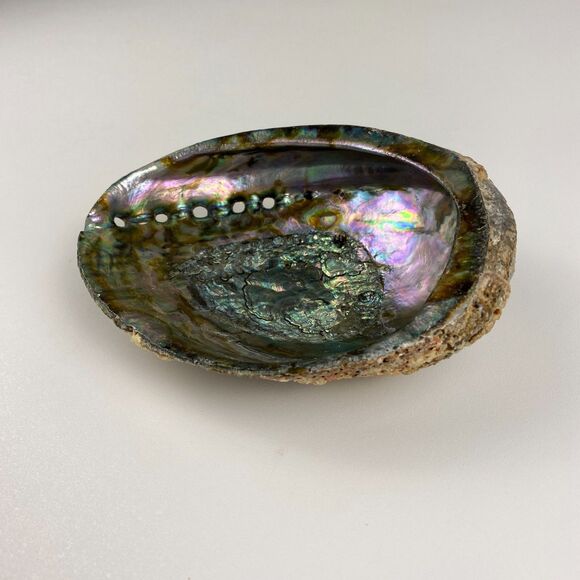 Abalone Shell 6”x5” Beautiful Display Piece Coastal Decor Trinket Dish Beach - Picture 3 of 12